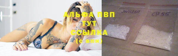 прущие грибы Арсеньев
