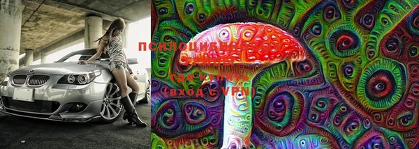 прущие грибы Арсеньев