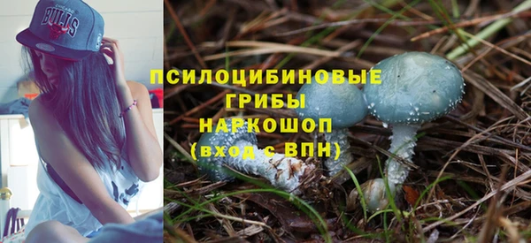 прущие грибы Арсеньев