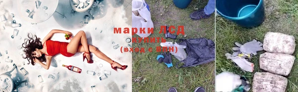 прущие грибы Арсеньев
