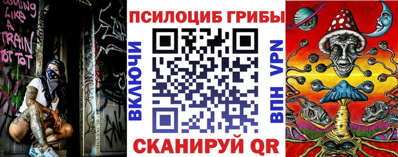 Псилоцибиновые грибы мухоморы  купить наркоту  Чудово 